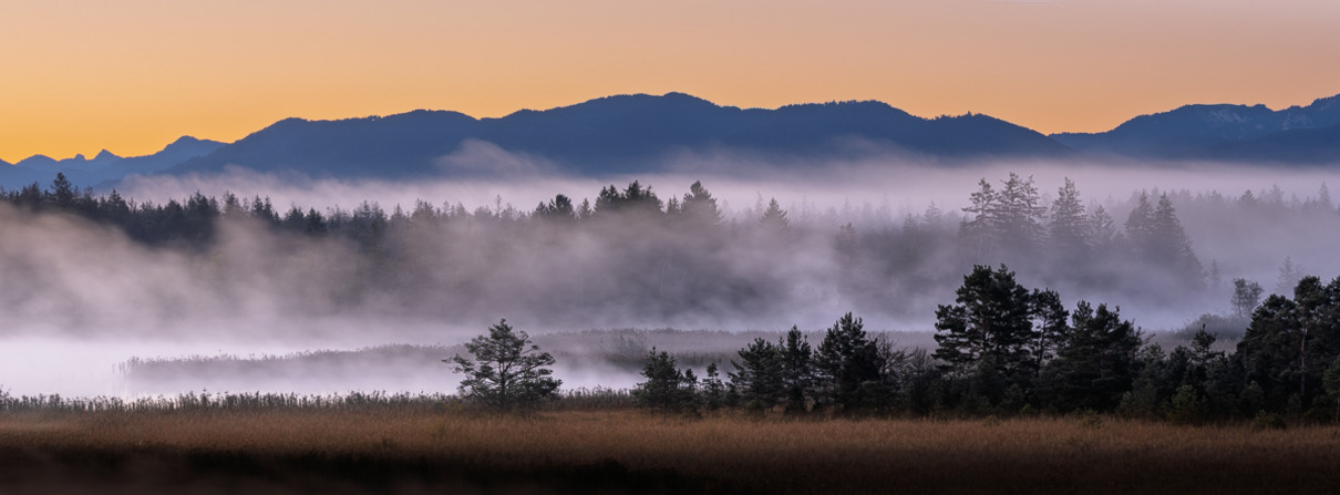 Stefan Puetz-Cordes Moor 1 Platz 19