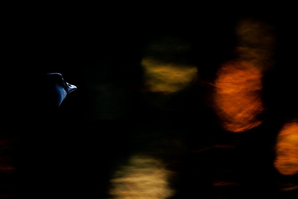 Andreas Schmitz City lights Platz 7