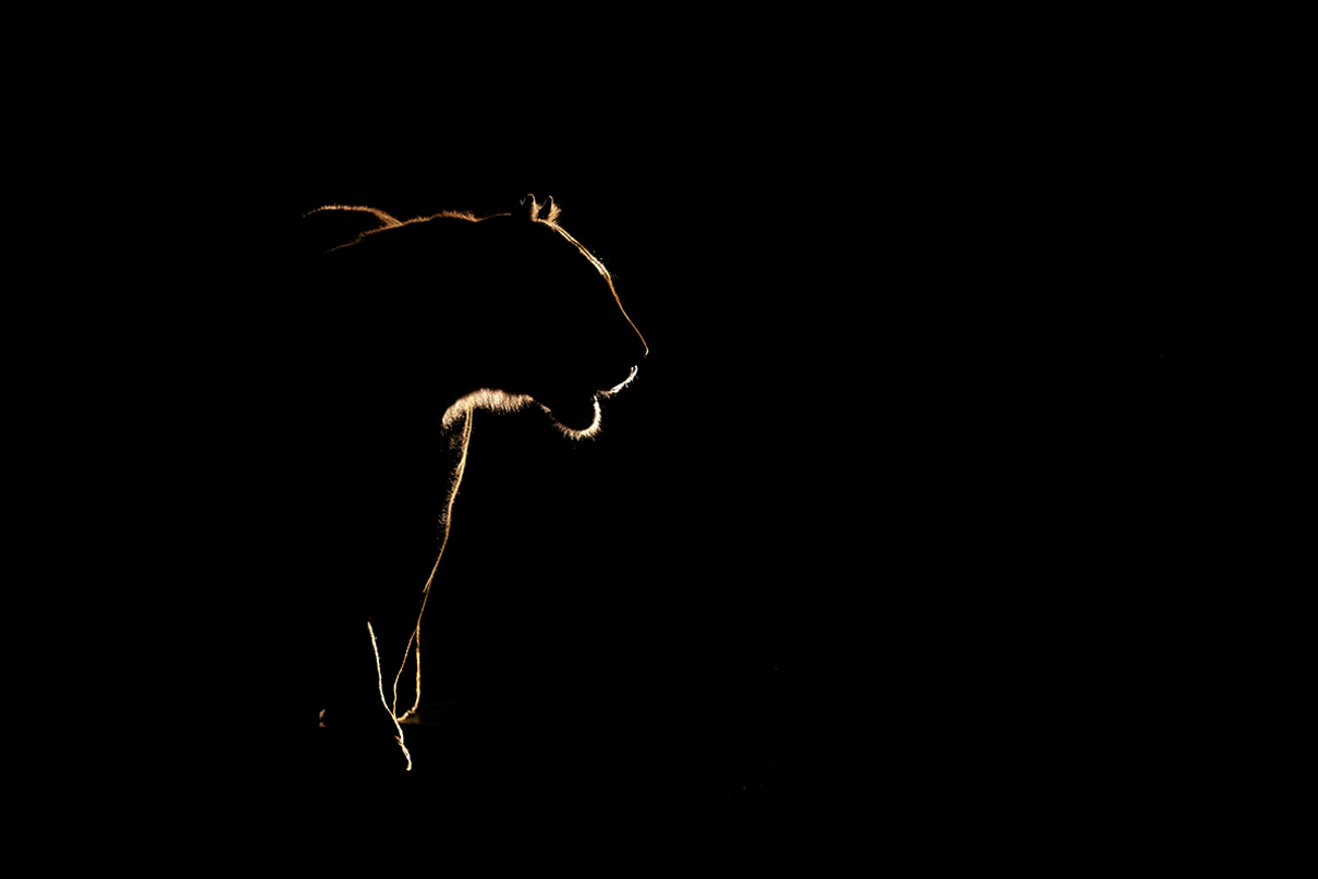 Marion Vollborn Silhoutte Platz 9