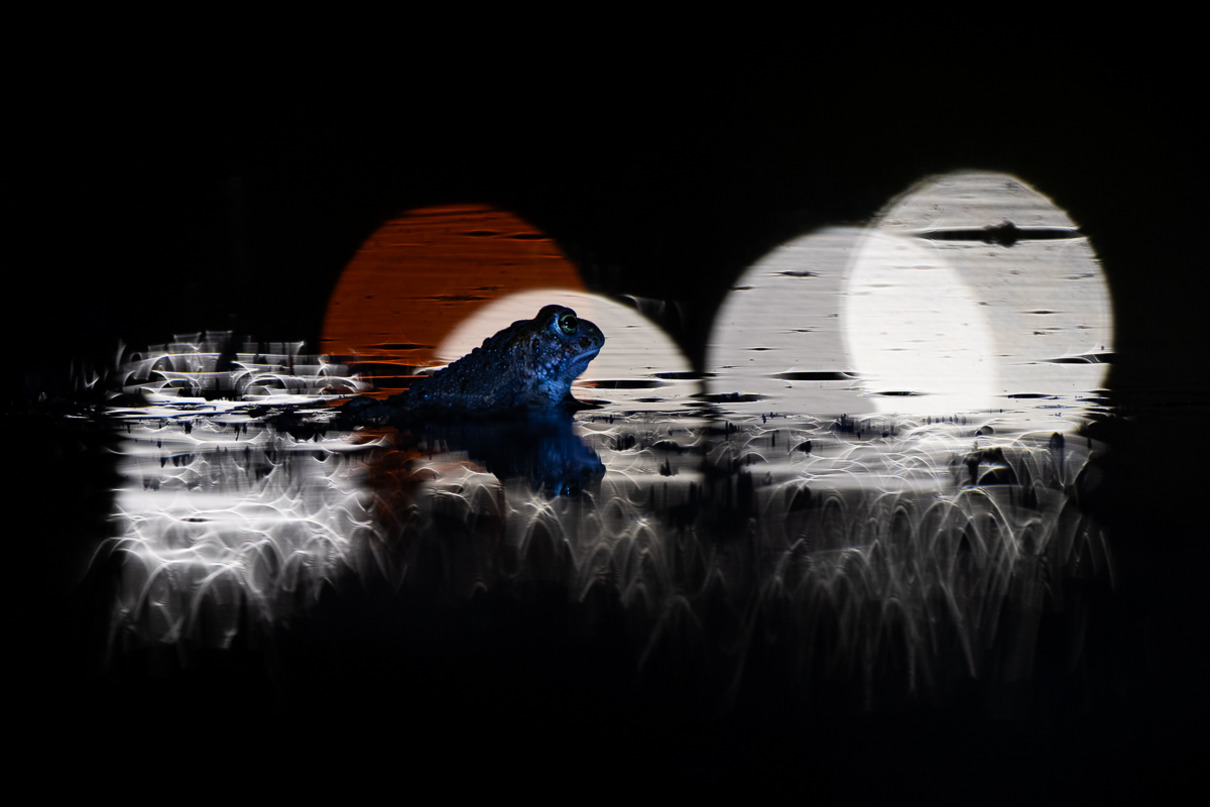 Nils Schindler Im Rampenlicht Platz 11