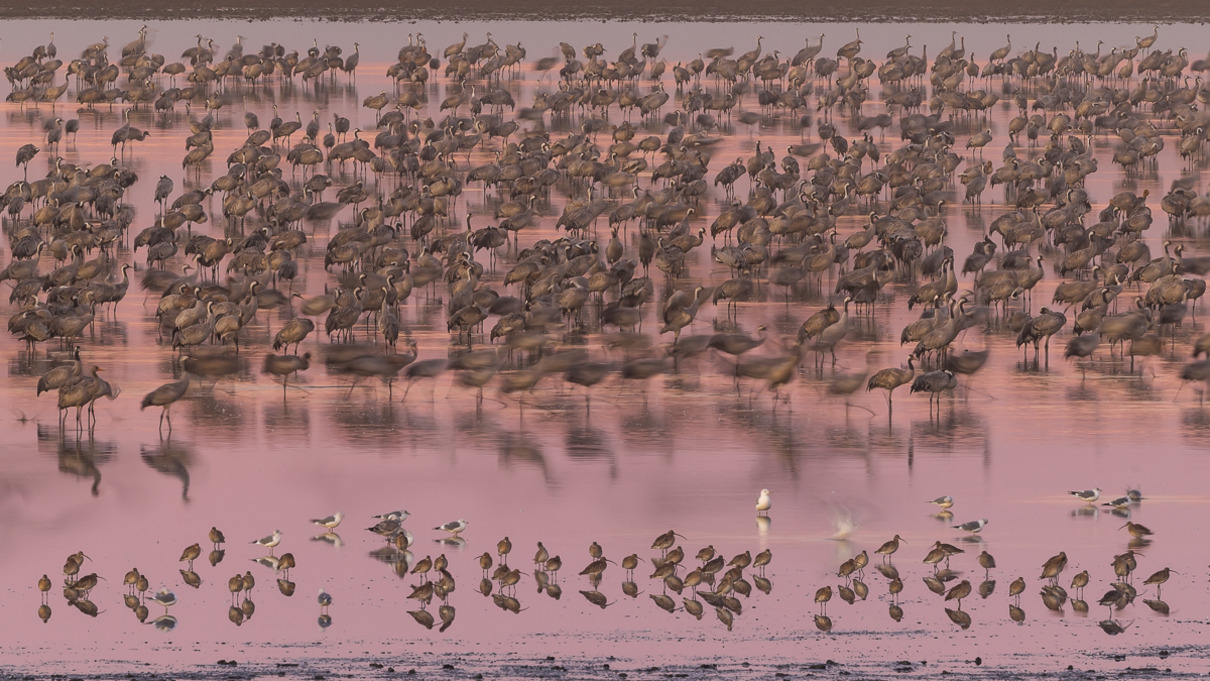 Martin Franke Rushhour vor Sonnenaufgng Platz 18