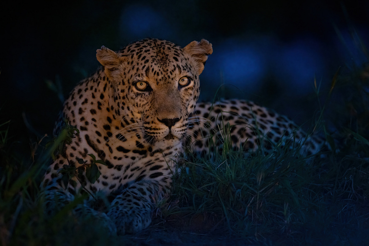 Marion Vollborn Blaue Stunde Platz 23